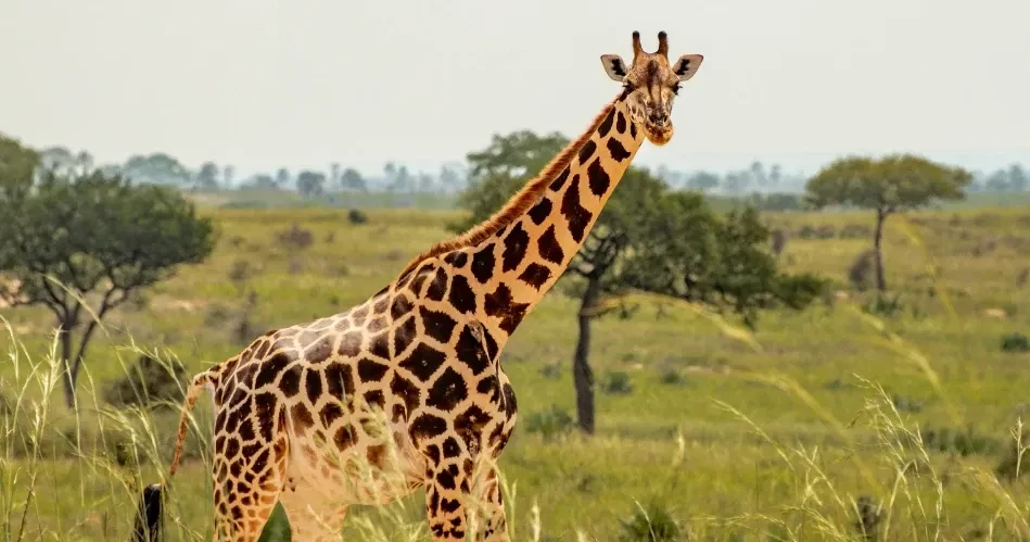 Top Family-Friendly Activities in Los Angeles for Kids